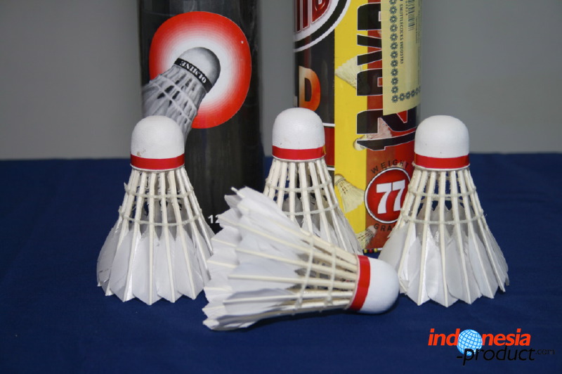 shuttlecock-02.jpg