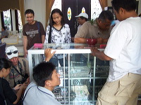 silver-handmade-jember-13