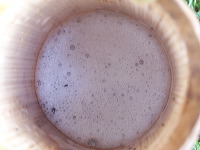 siwalan-tree-32