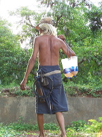 siwalan-tree-36