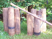 siwalan-tree-43