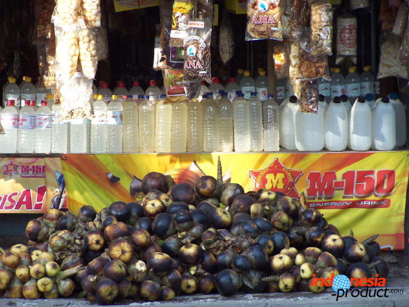 siwalan-tree-21.jpg