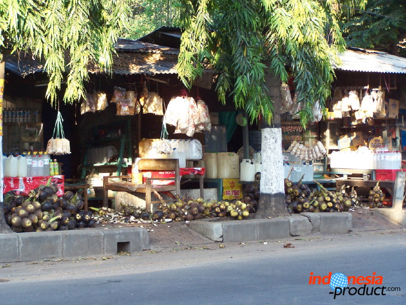 siwalan-tree-23.jpg