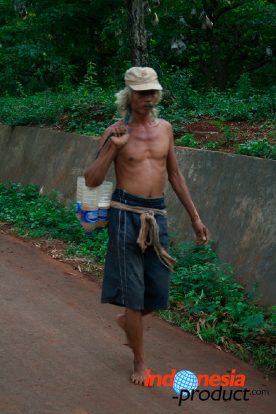 siwalan-tree-24.jpg