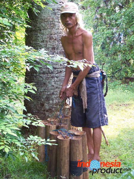 siwalan-tree-33.jpg