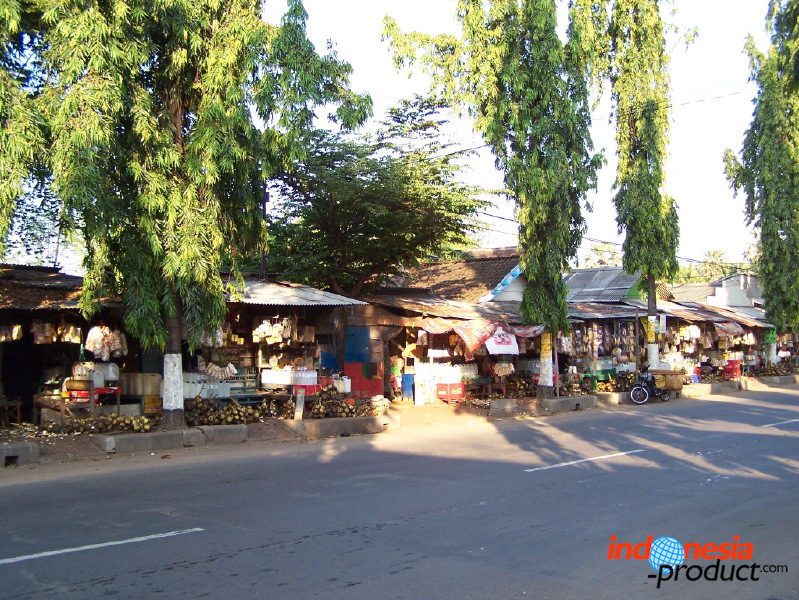 siwalan-tree-38.jpg