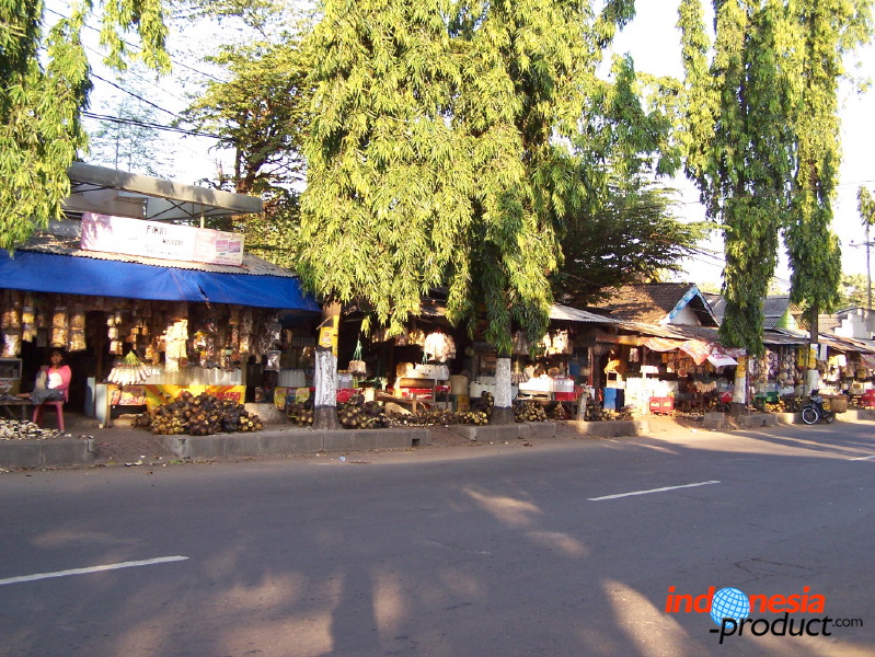 siwalan-tree-51.jpg