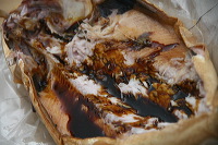 smoked-milkfish-ban_1f87f58