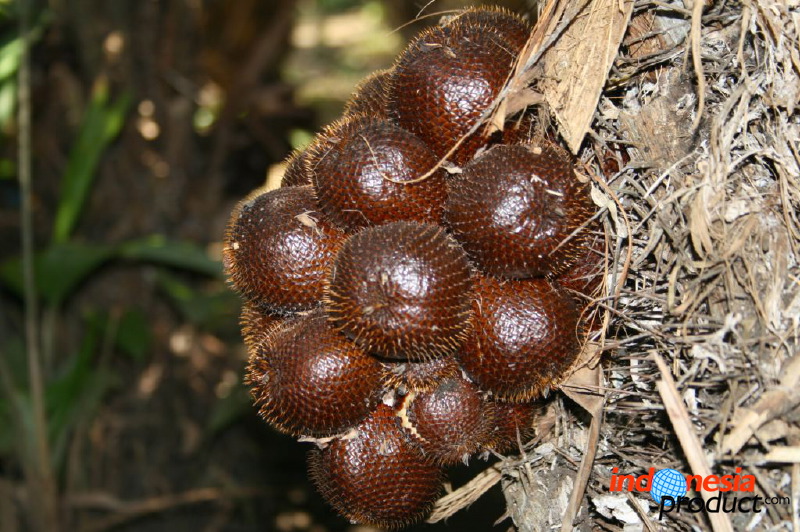 snake-fruit-05.jpg