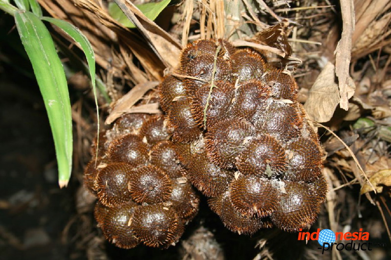 snake-fruit-25.jpg