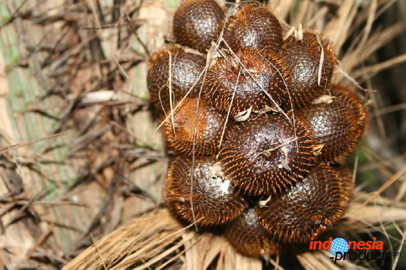 snake-fruit-38.jpg