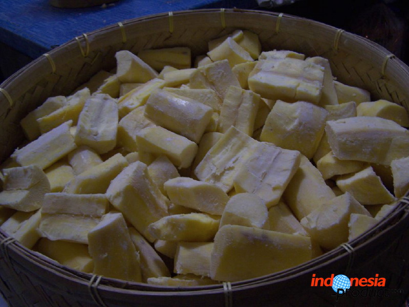 tape-bondowoso-01.jpg