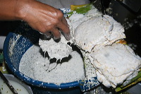 typical-food-trenggalek-24