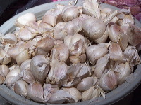 typical-food-trenggalek-45