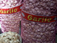 typical-food-trenggalek-52