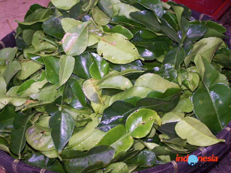 typical-food-trenggalek-44.jpg