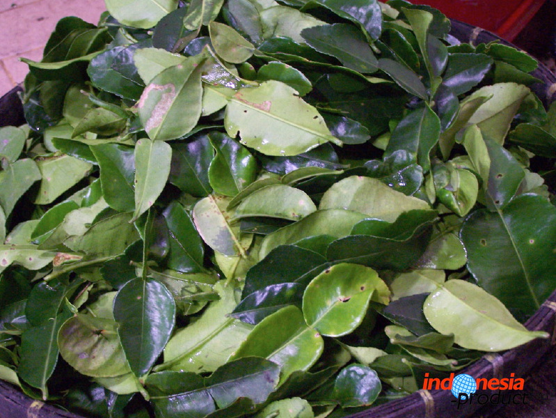 typical-food-trenggalek-51.jpg