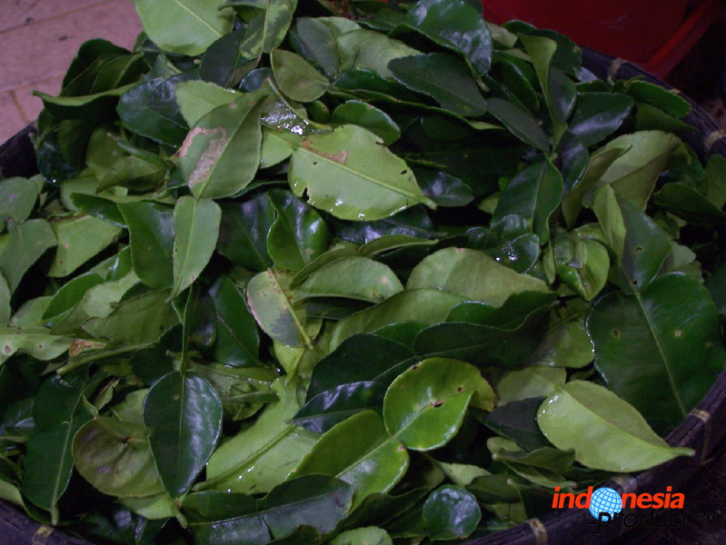 typical-food-trenggalek-72.jpg