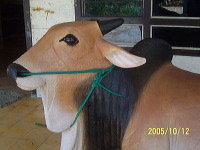 indonesia-handicrafts-52