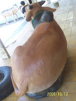indonesia-handicrafts-76