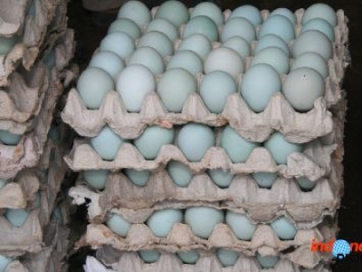 Benefits of Salted Eggs And What Is Needed To Make It