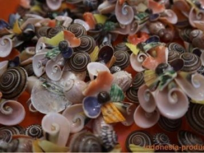 Various Kinds of Shellfish Craft Products