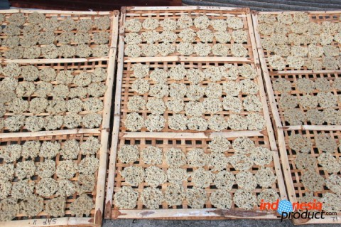 Petola cracker is made from tuna fish because this type of fish is common and easily caught in the sea around Bawean.